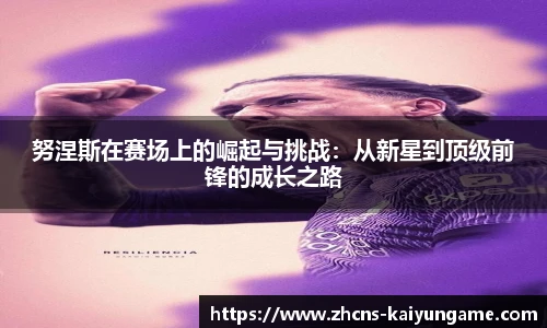 开云kaiyun官网
